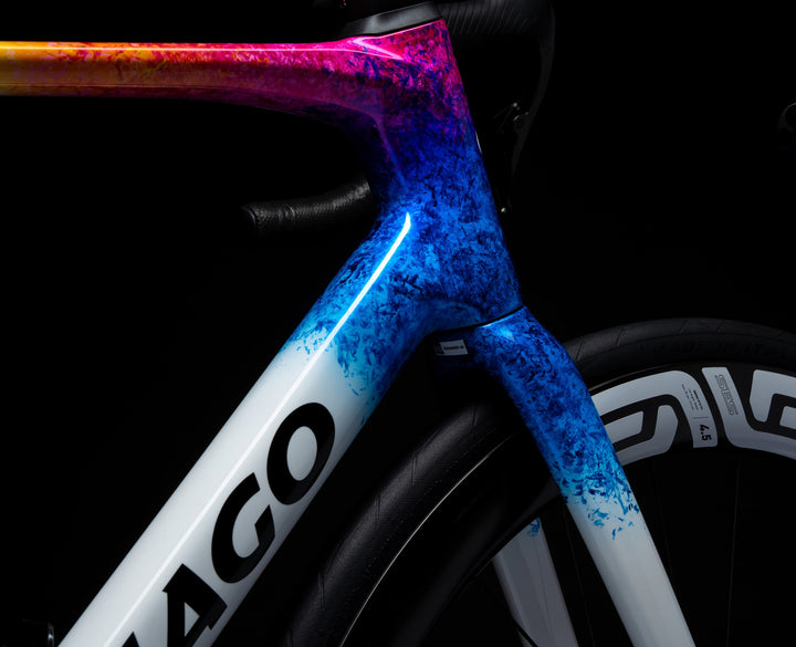 Colnago V5RS Disc 2026 Carbon Road Frameset